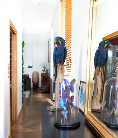 Appartement Magnifique Penthouse